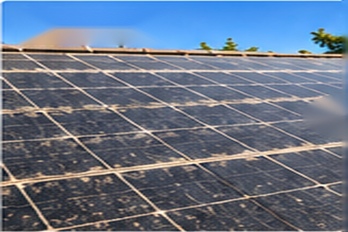 Vorher – PV- & Solaranlagen-Reinigung